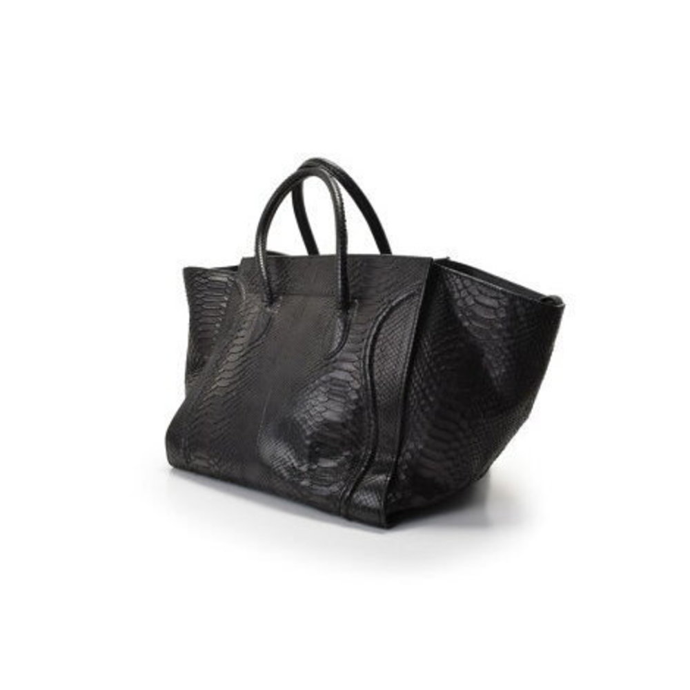 Celine Luggage Phantom Python Black - image 2